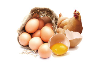 黄色鸡蛋生鲜食品素材